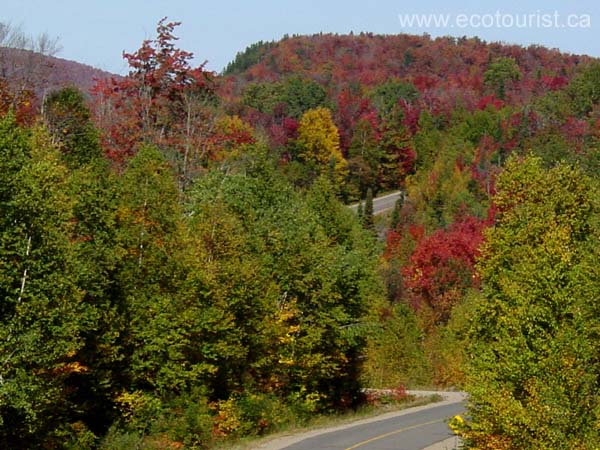 autumn_canada110