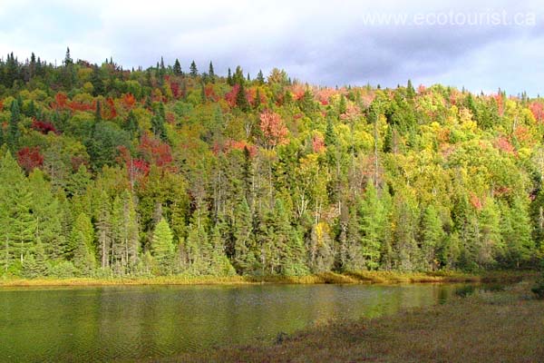 autumn_canada111
