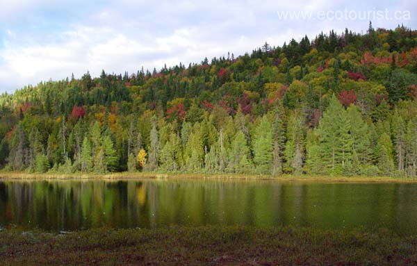 autumn_canada112