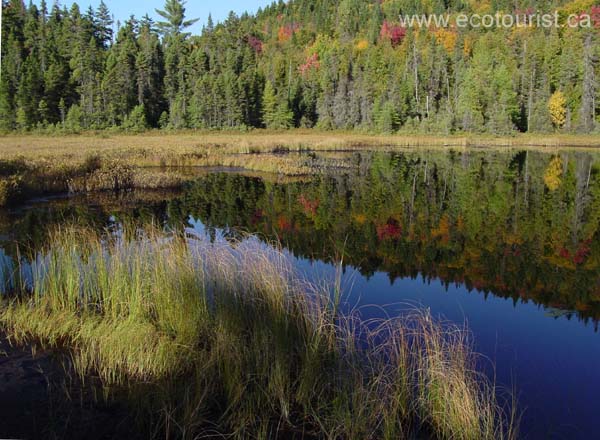 autumn_canada113