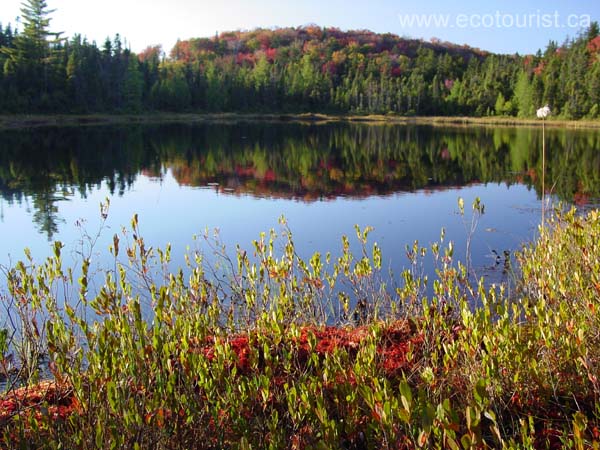 autumn_canada115