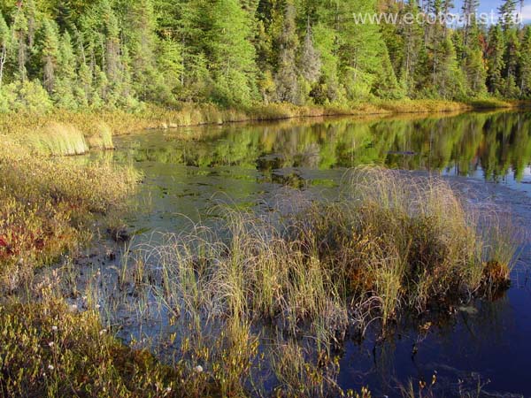 autumn_canada117