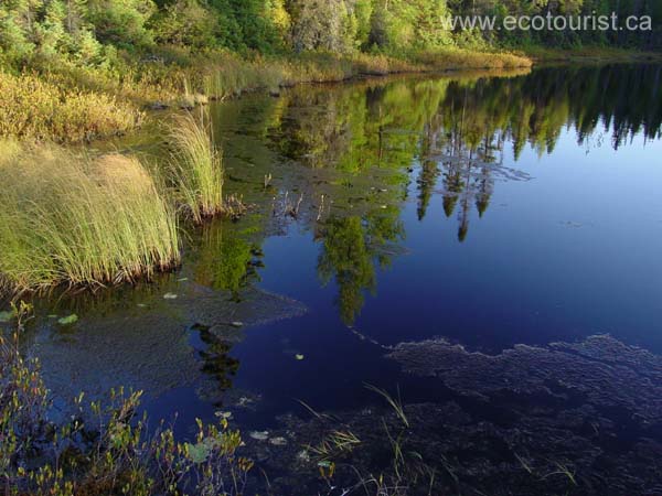 autumn_canada118
