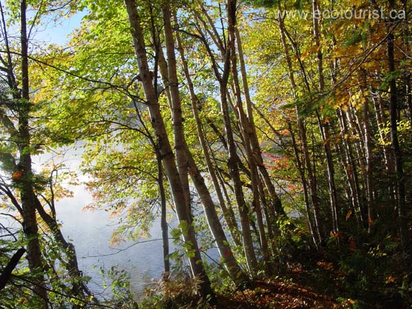 autumn_colors107