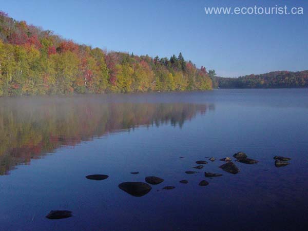 autumn_colors110