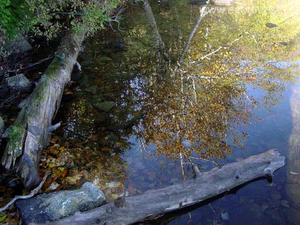 autumn_colors111