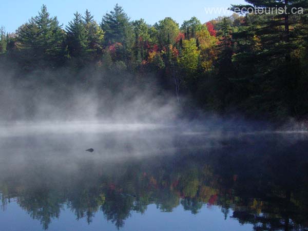 autumn_colors118