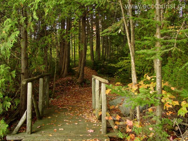 fall_colors100