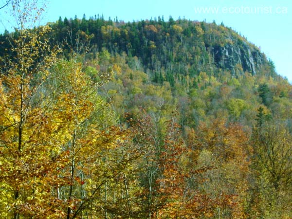 fall_colors104