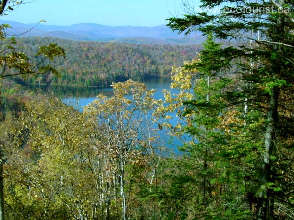 fall_colors105