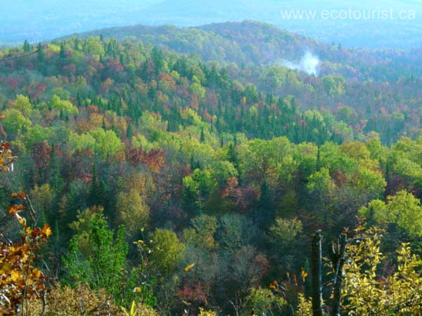 fall_colors108