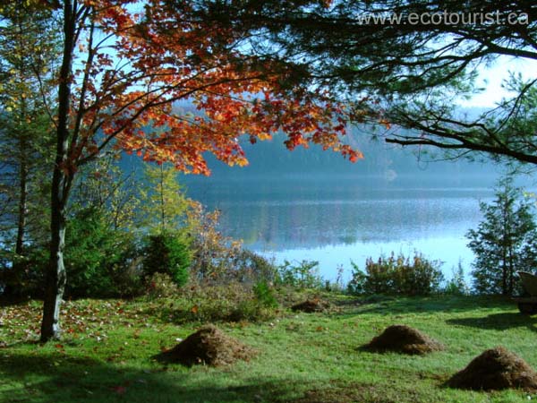 fall_colors115