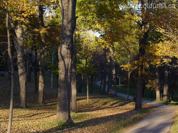 fall_colors116