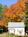 autumn_canada100