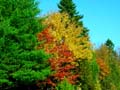 autumn_canada105
