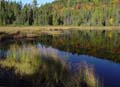 autumn_canada113