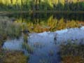 autumn_colors101