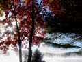 autumn_colors103