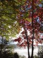 autumn_colors104