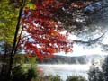 autumn_colors105