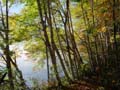 autumn_colors107