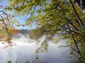 autumn_colors108
