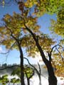 autumn_colors109
