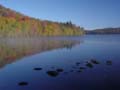 autumn_colors110