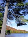 autumn_colors114