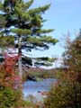 autumn_colors115
