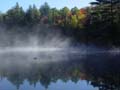 autumn_colors118