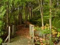fall_colors100