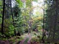 fall_colors101