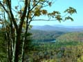 fall_colors106