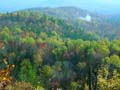 fall_colors108