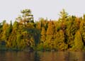 fall_colors109