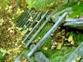 fall_colors111