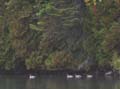 fall_colors112