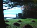fall_colors114