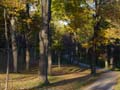fall_colors116