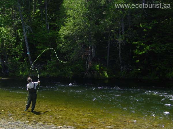 flyfishing114