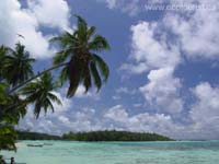 this a view of the beach in front of the Tipaniers restaurant on the island of Moorea near Tahiti. The motu in the back is located directly in front of the now closed original Club Med