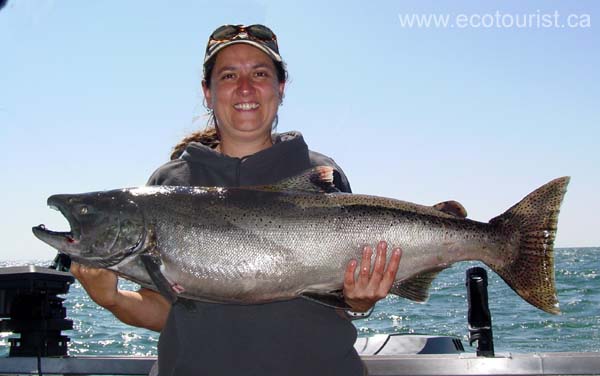 lake_ontario_salmon105