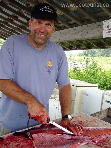 lake_ontario_salmon113