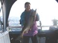 lake_ontario_salmon115