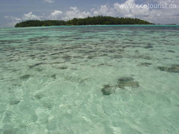 moorea121