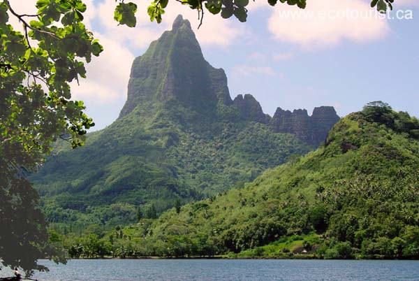 tahiti_moorea109