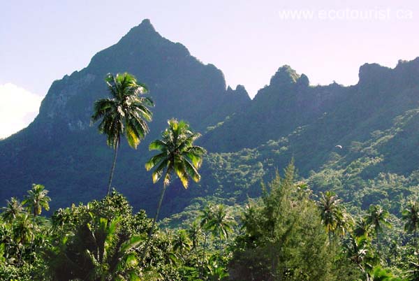tahiti_moorea112