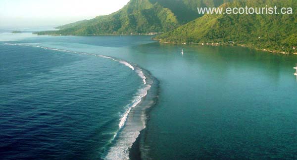 tahiti_moorea124