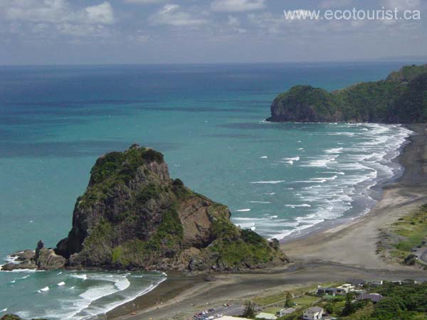 newzealand_piha196